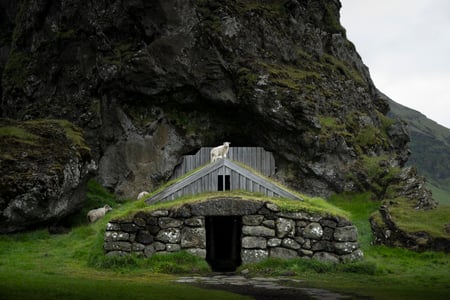 A lamb is standing on top of a turf house on the south coast of Iceland