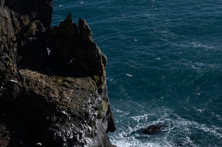 Birds soaring and flying off the cliffs of the Snæfellsnes Peninsula
