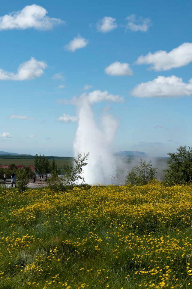 A geyser blowing up on the Icelandic Golden Circle