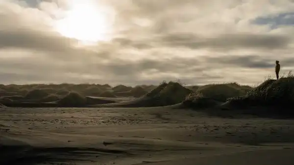 Un homme regarde le coucher de soleil, perché sur une plage de sable noir