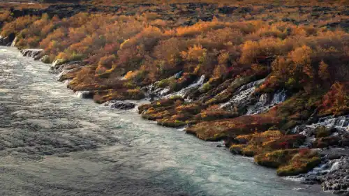 D'innombrables cascades se jettent dans une rivière, dans un paysage automnal