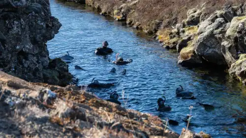 Des gens en combinaison sèche nagent avec masque et tubas devant les montagnes