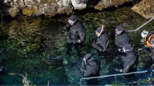 Des personnes en combinaison sèche, s'apprêtent à nager avec masques et tubas.