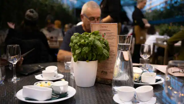 Un homme déjeune à la table d'un bon restaurant, avec un pied de basilic sur la table