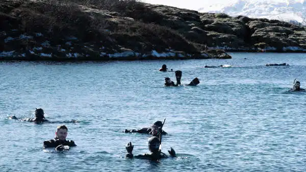 Personnes nageant avec masques et tubas dans le parc de Þingvellir