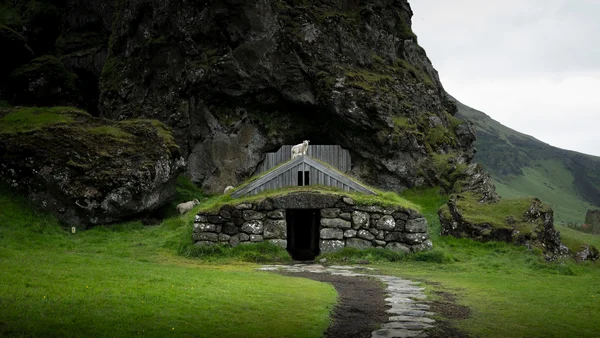 A lamb is standing on top of a turf house on the south coast of Iceland