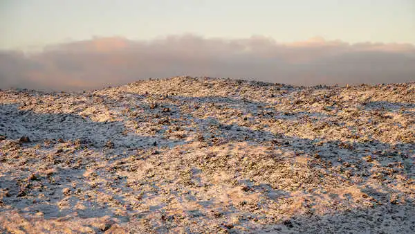 Lava field covered with snow, under a soft, sunset light