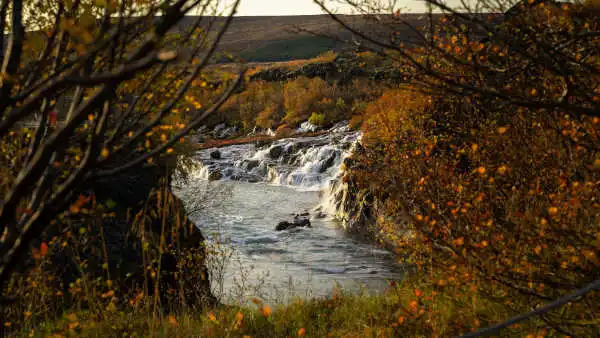 Many waterfalls photographed through orange bushes