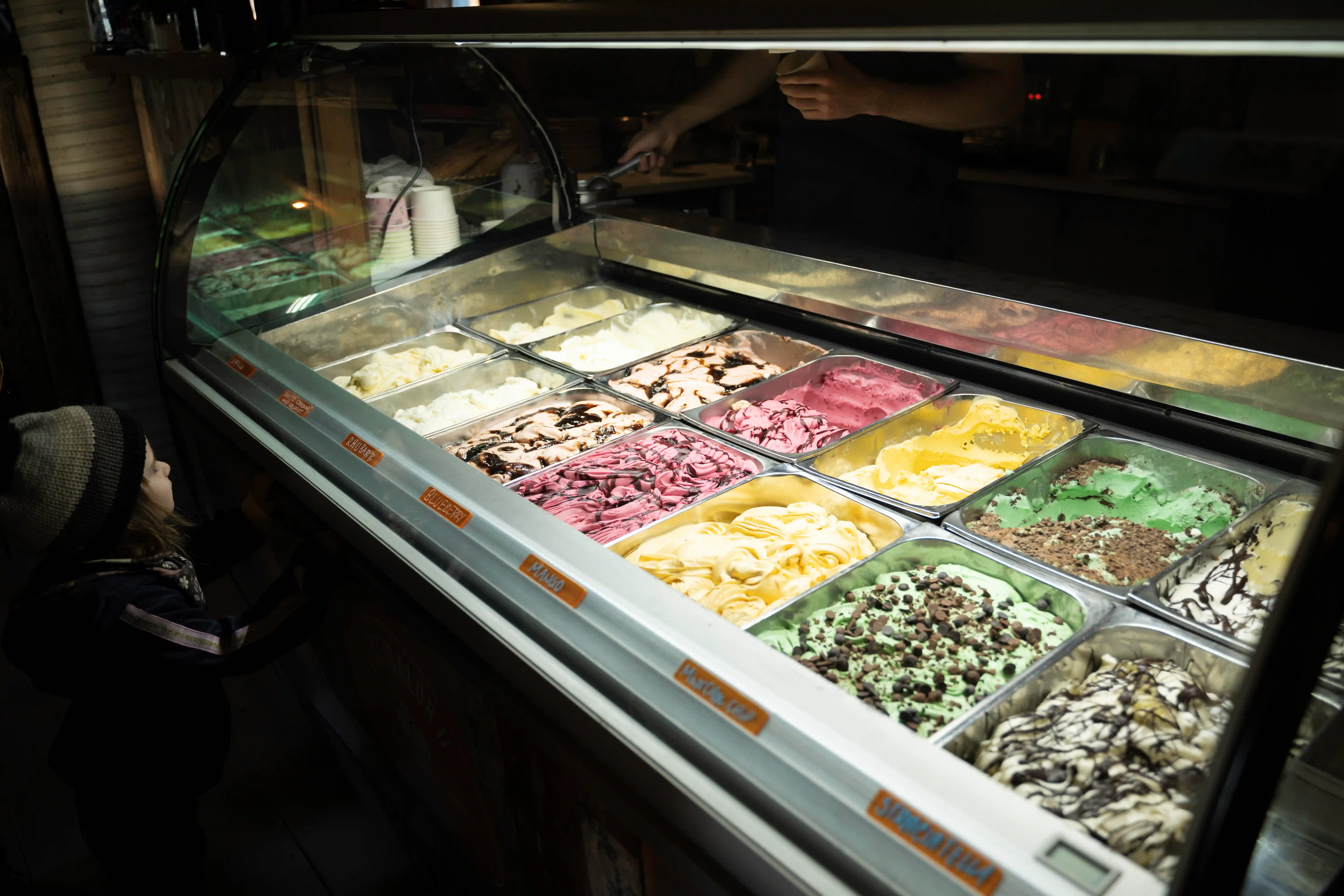 Efstidalur dairy farm with grazing cows