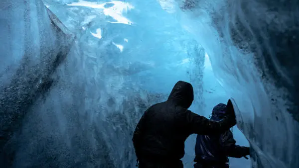 Clients evolving in a blue ice cave