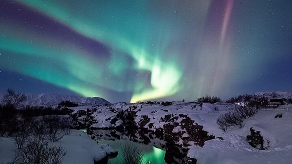Professional guide pointing out aurora formations to excited tour participants