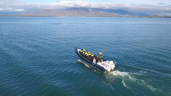 RIB boat cutting through Faxaflói Bay with Reykjavik skyline backdrop