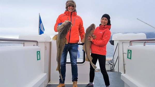 Humpback whale surfacing near fishing boat during dual-activity tour