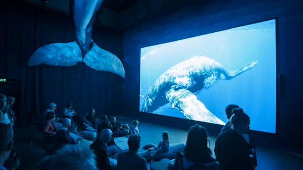 Virtual reality whale encounter experience at the exhibition