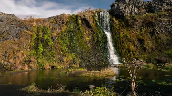 A small, thin waterfall falls along a vegetated wall