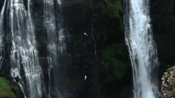 Two birds are flying in front of two waterfalls