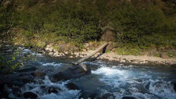 A wooden log is over a torrential river