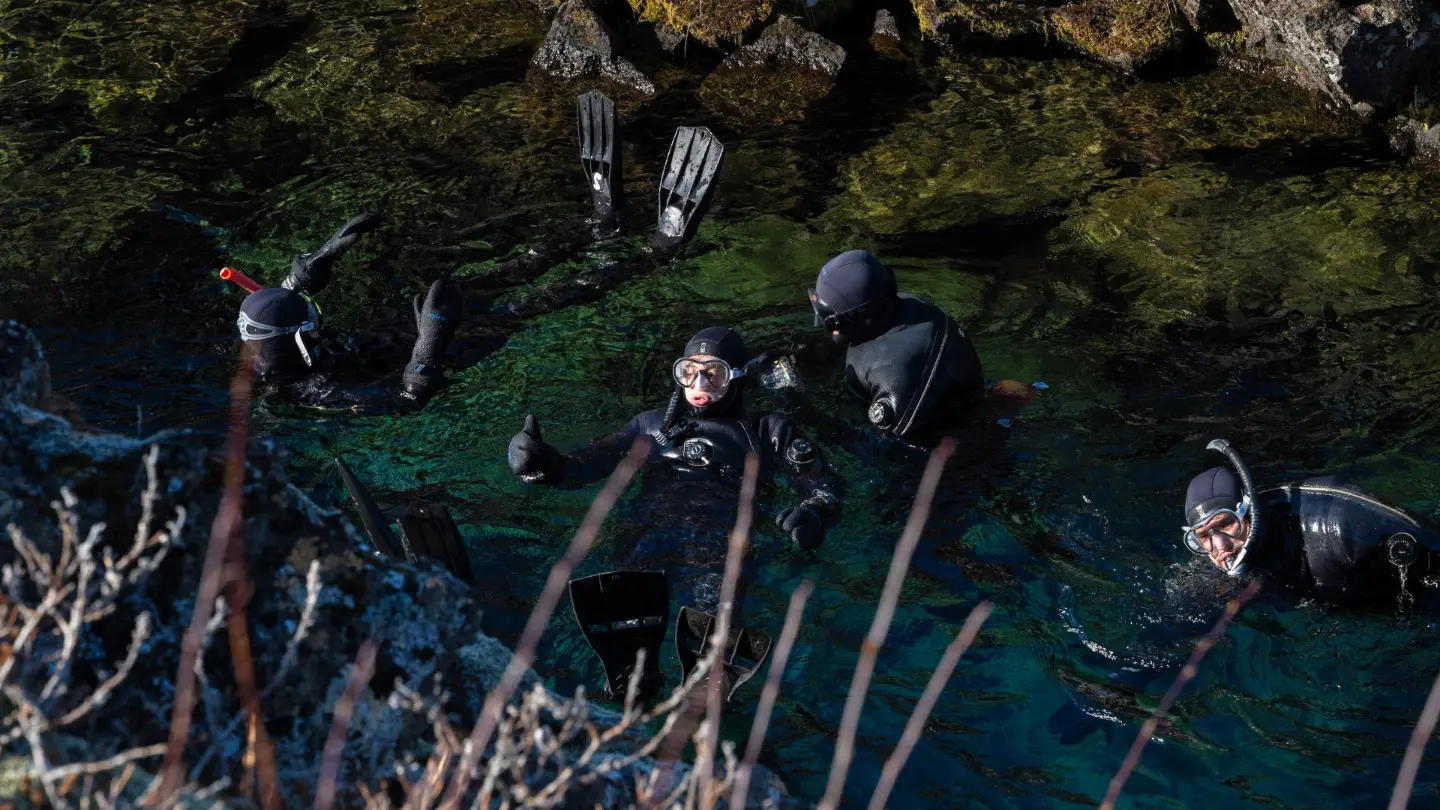 People in dry suit are snorkeling in extremely clear water