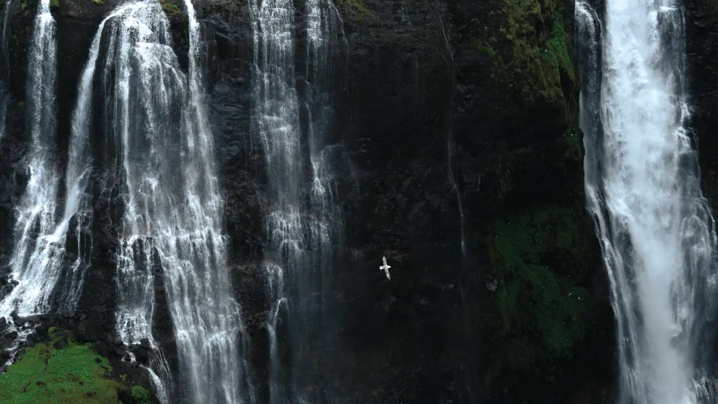 A seagull in flying inside of a canyon between two waterfalls