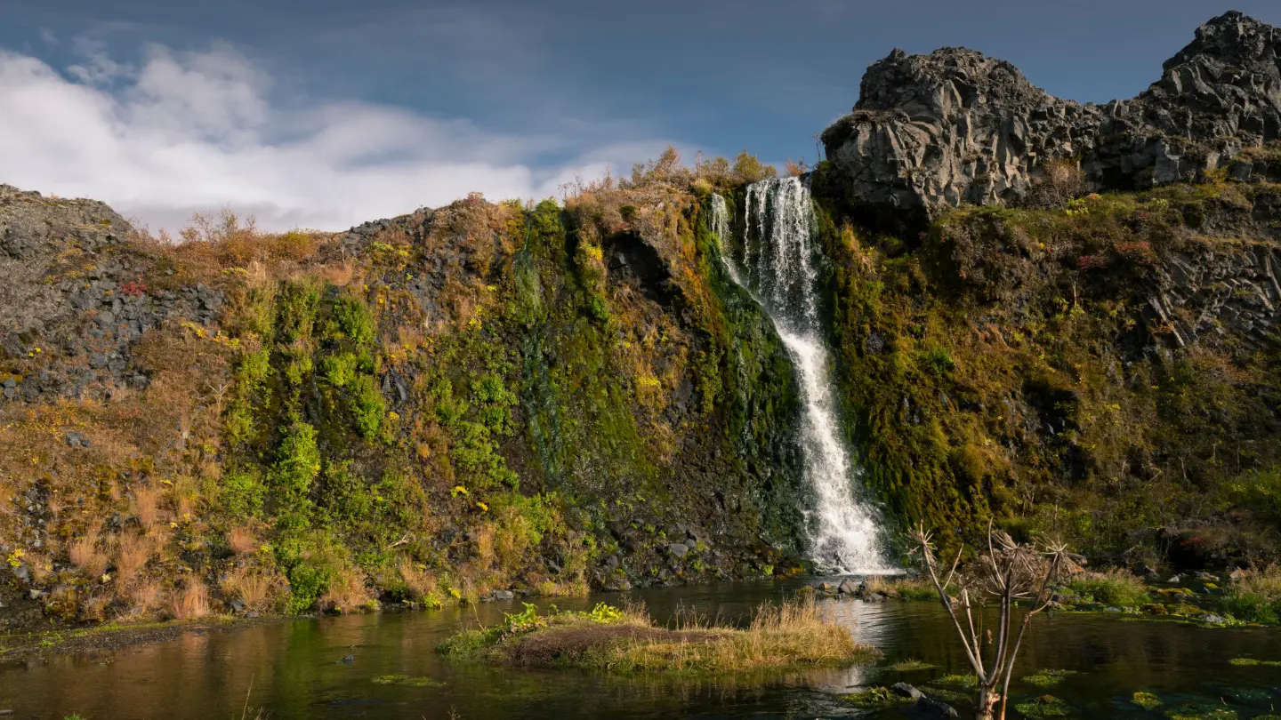 A thin waterfall is flowing along a lush wall of moss