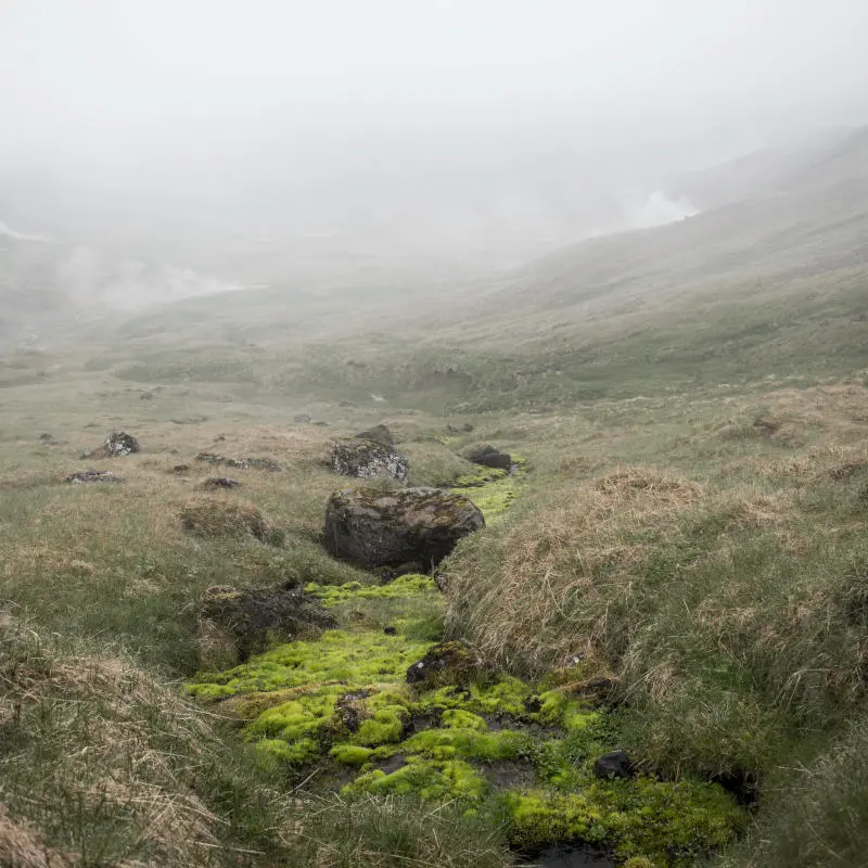 Moss covered rocks over a stream of water