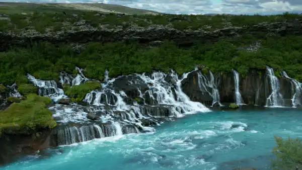 Countless waterfalls flowing through lava rocks and bushes in spring