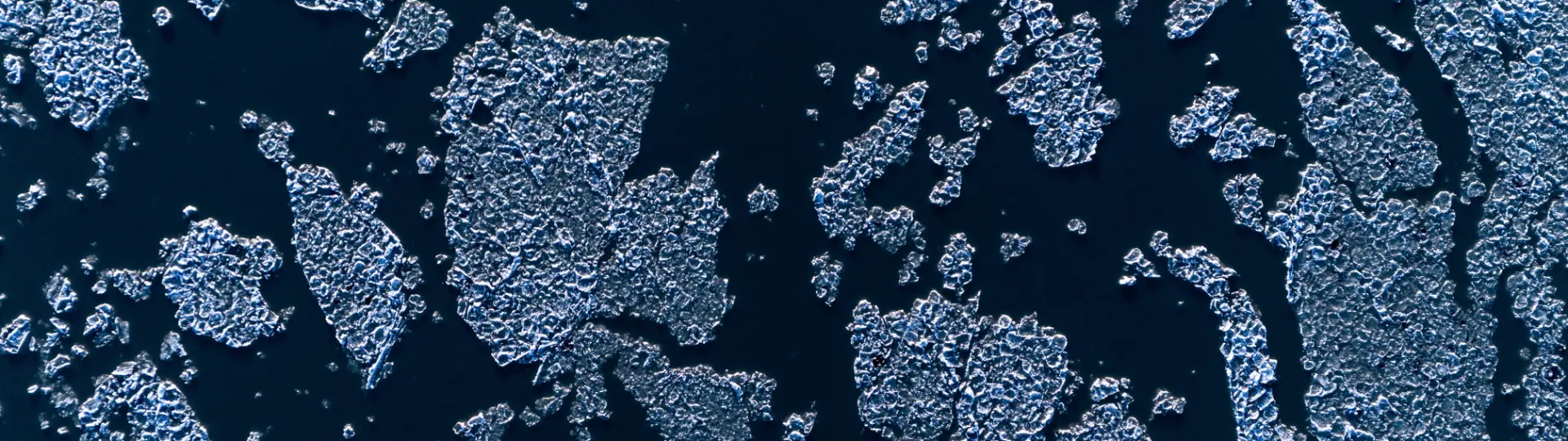 blocks of ice floating on a river