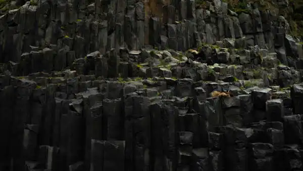 Black basaltic columns with some vegetation