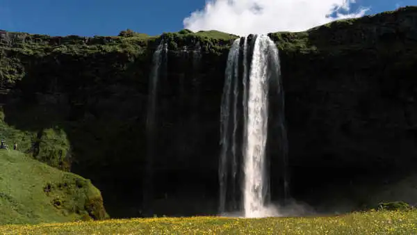 A thin but tall waterfall falls in front of a cliff in a spring landscape