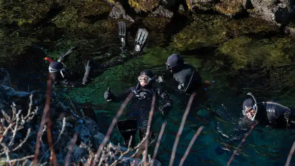 People in dry suit snorkeling in crystal clear water