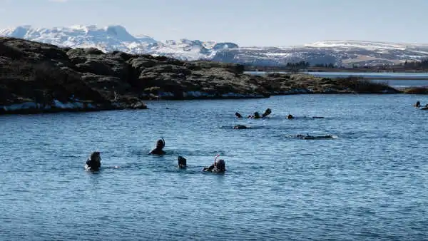 Happy snorkelers are putting some thumbs up