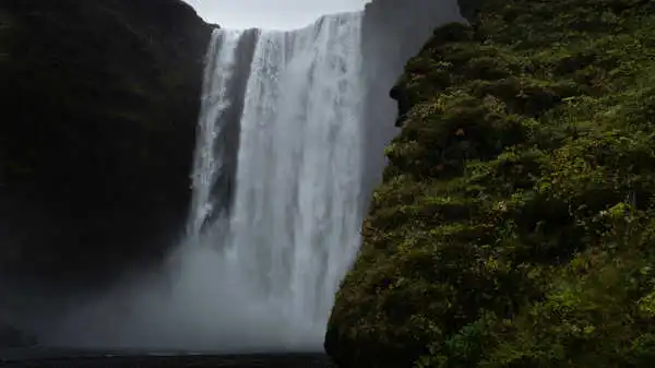 A big waterfall is photographed behind a wall covered with green moss