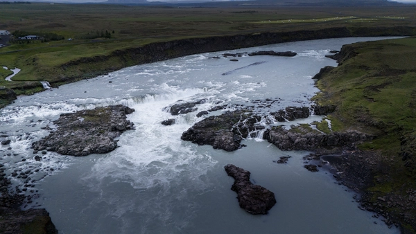 A powerful waterfall flows down a river as an intense torrent with purple lupines in the foreground