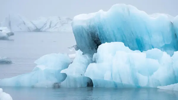 Very blue icebergs floating on a lake