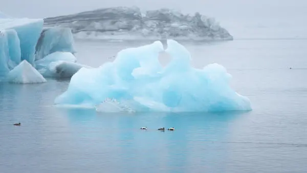 Deep blue floating icebergs with birds in front