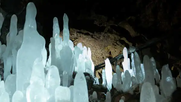 Inside a cave, dozens of ice stalagmites